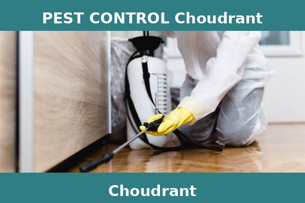 PEST CONTROL Choudrant